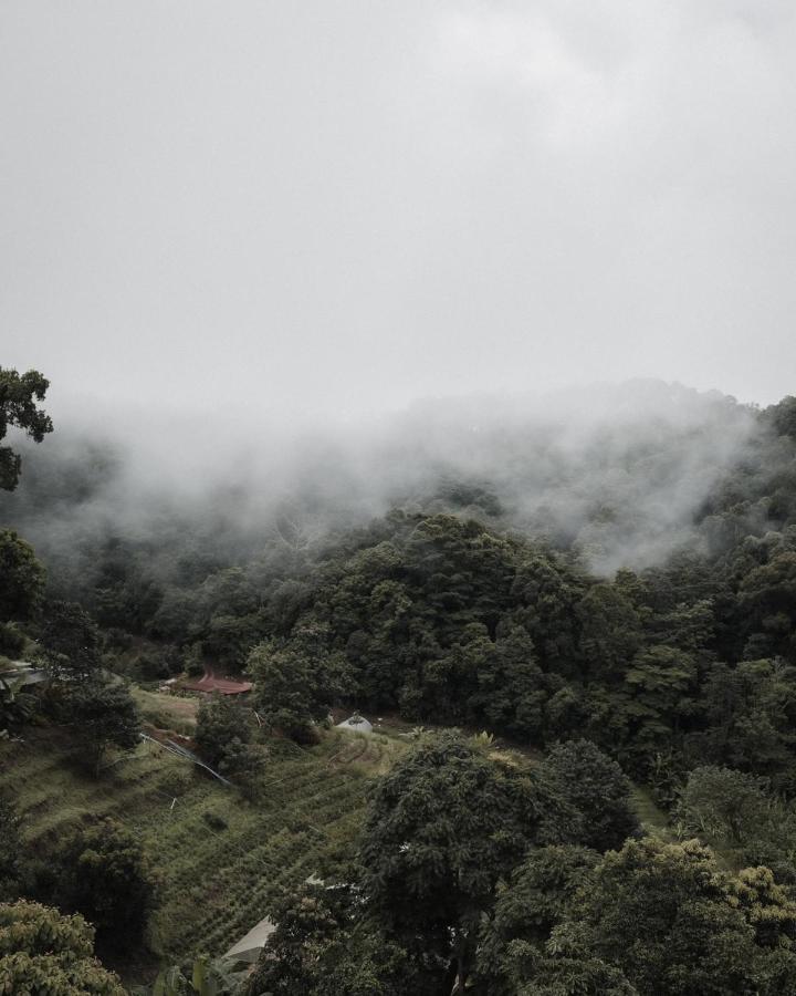 Phu Morinn Camping ม่อนแจ่ม Mon Jam Exteriér fotografie
